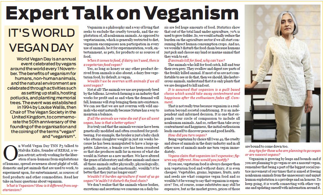 The News Now - World Vegan Month - November 2019